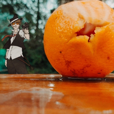 <b>3º Premio:</b> Jano Rolón